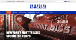 Desktop Screenshot of callaghanpump.com